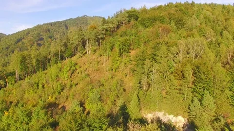 Aerial View. Flying over the beautiful mountain and beautiful forest. Aeria.. 動画素材 70200328