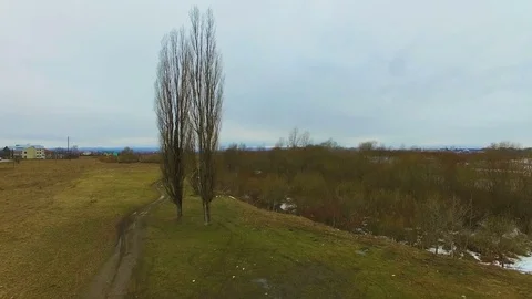 Aerial View. Flying over the beautiful autumn River and two trees Stock Footage 77986012