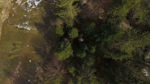 Aerial View. Flying over the beautiful mountain River and forest Stock Footage 78036705
