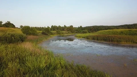 Aerial View. Flying over the beautiful sunny field with river Stock Footage 80067550