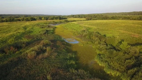 Aerial View. Flying over the beautiful sunny field with river Stock Footage 80068115
