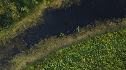 Aerial View. Flying over the beautiful sunny field with river Stock Footage 80068261