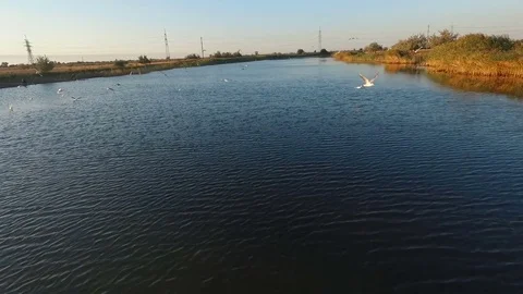 Aerial View. Flying over the beautiful autumn river Stock Footage 80296186