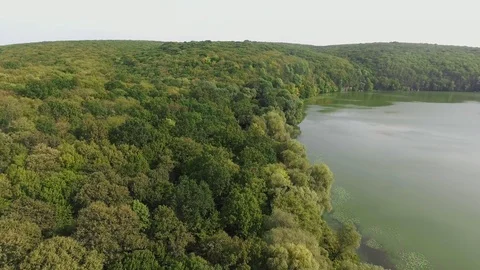 Aerial View. Flying over the beautiful River and beautiful forest. Stock Footage 85609802