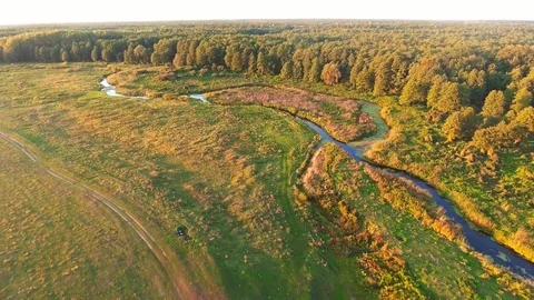 Aerial View. Flying over the beautiful River and beautiful forest. Stock Footage 86468237