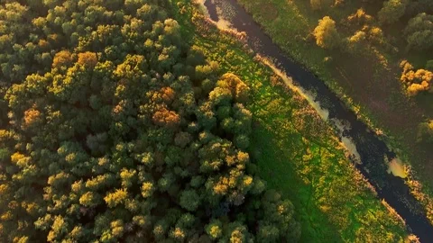 Aerial View. Flying over the beautiful River and beautiful forest. Stock Footage 86854064