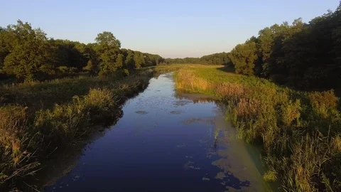Aerial View. Flying over the beautiful River and beautiful forest. Stock Footage 86854072