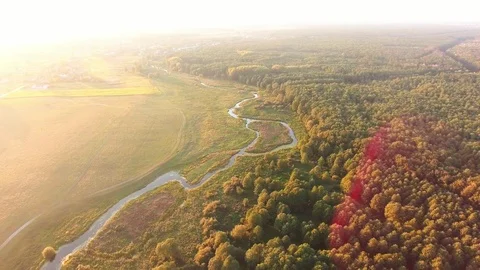 Aerial View. Flying over the beautiful River and beautiful forest. Stock Footage 86855668
