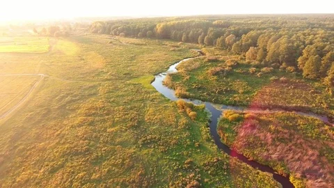 Aerial View. Flying over the beautiful River and beautiful forest. Stock Footage 86856068