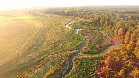 Aerial View. Flying over the beautiful River and beautiful forest. Stock Footage 87039211