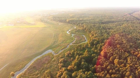 Aerial View. Flying over the beautiful River and beautiful forest. Stock Footage 87039834