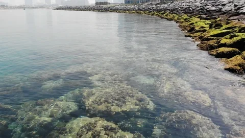 Aerial view flying over clear water bay 動画素材 104406260