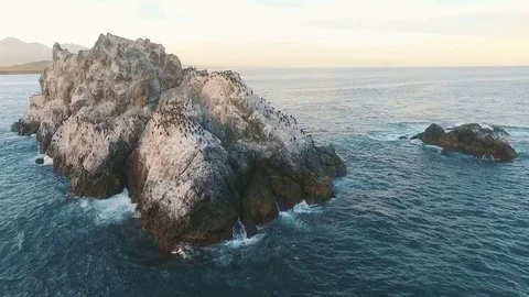 Aerial View. Flying over the cliff into the sea. A lot of birds on a rock in the Stock Footage 73224280