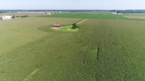 Aerial View Flying Over Corn and Soybean Fields and Farms Smyrna Delaware Stock Footage 78737611