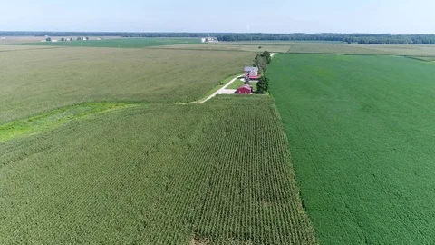 Aerial View Flying Over Corn and Soybean Fields and Farms Smyrna Delaware Stock Footage 78737674