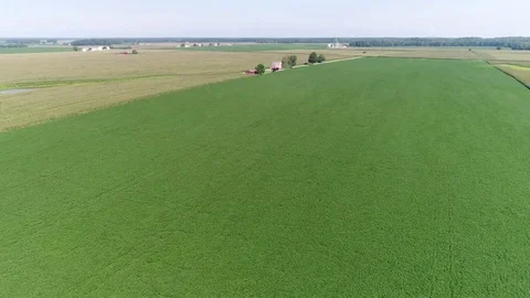 Aerial View Flying Over Corn and Soybean Fields and Farms Smyrna Delaware Vídeos de archivo 78737731