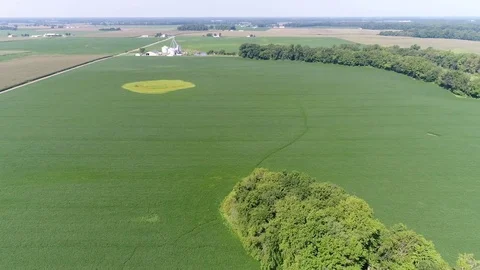 Aerial View Flying Over Corn and Soybean Fields and Farms Smyrna Delaware Stock Footage 78737796