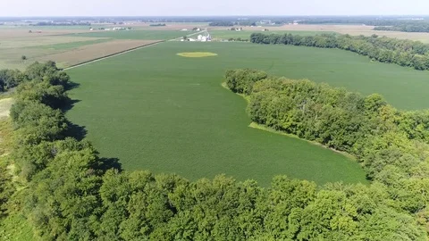 Aerial View Flying Over Corn and Soybean Fields and Farms Smyrna Delaware Stock Footage 78737802