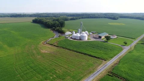 Aerial View Flying Over Corn and Soybean Fields and Farms Smyrna Delaware Stock Footage 78737827