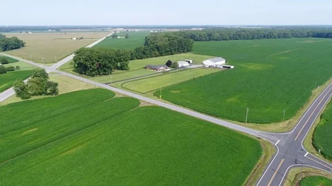 Aerial View Flying Over Corn and Soybean Fields and Farms Smyrna Delaware Stock Footage 78737838