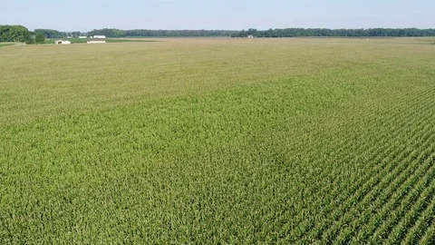 Aerial View Flying Over Corn and Soybean Fields and Farms Smyrna Delaware Stock Footage 78737866