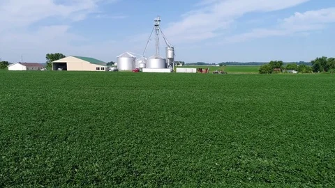 Aerial View Flying Over Corn and Soybean Fields and Farms Smyrna Delaware Stock Footage 78737880