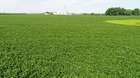 Aerial View Flying Over Corn and Soybean Fields and Farms Smyrna Delaware Stock Footage 78737892