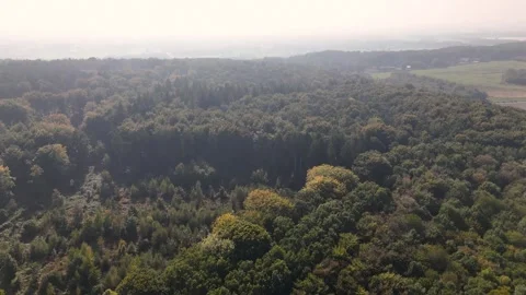 Aerial view flying over a dense green forest landscape Stock Footage 320813233