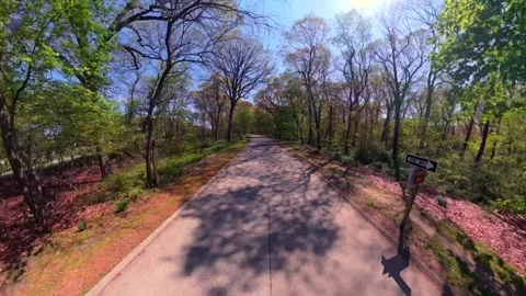 Aerial view flying over an empty paved road, under trees in Valley Stream State Stock Footage 334120285