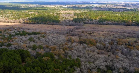 Aerial view of flying over fall Texas forests 動画素材 122645215