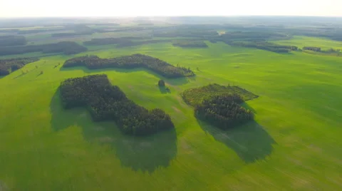Aerial View. Flying over the field of forest at sunset with the sun's rays. Stock Footage 63778732