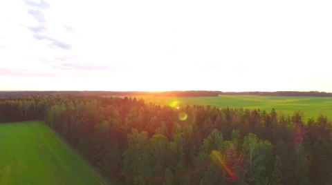 Aerial View. Flying over the field of forest at sunset with the sun's rays. Stock Footage 63779825