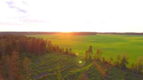 Aerial View. Flying over the field of forest at sunset with the sun's rays. Stock Footage 63780428