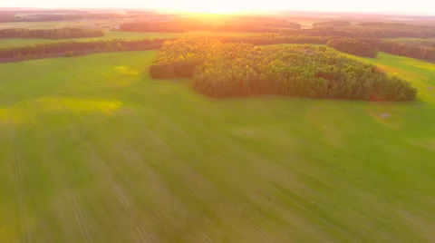 Aerial View. Flying over the field of forest at sunset with the sun's rays. Stock Footage 63780524