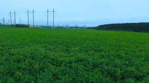 Aerial View. Flying over the field along the electric wires. Stock Footage 68001671