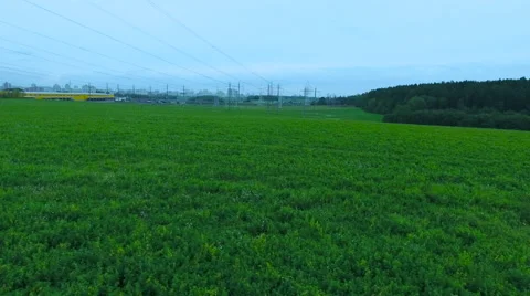 Aerial View. Flying over the field along the electric wires. Stock Footage 68001833
