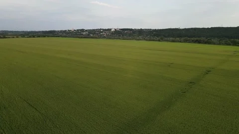 Aerial View Flying over the field. Flying over the river. Russia Видео 134906777
