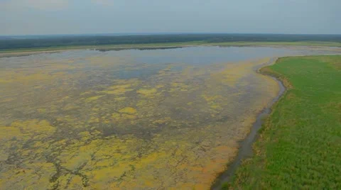 Aerial View: Flying over fields and lakes. Altai. Siberia Stock Footage 11519441