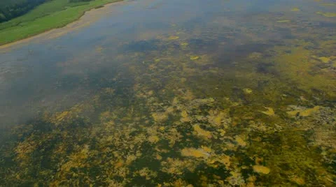 Aerial View: Flying over fields and lakes. Altai. Siberia Stock Footage 11519454