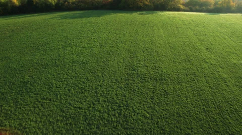 Aerial View: Flying over the fields, near Bakhchisaray, Crimea Stock Footage 36816748