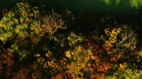 Aerial View: Flying over the fields, near Bakhchisaray, Crimea Stock Footage 36817766