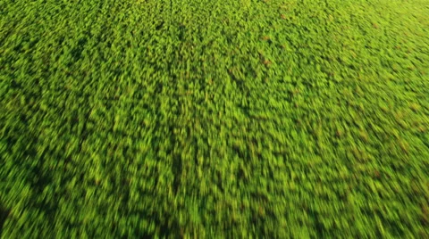 Aerial View: Flying over the fields, near Bakhchisaray, Crimea Stock Footage 36817928