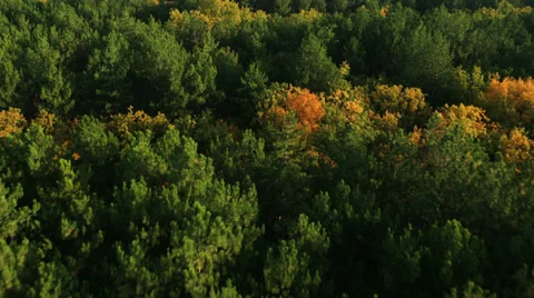 Aerial View: Flying over the forest, near Bakhchisaray, Crimea Stock Footage 36708908