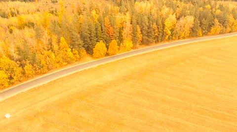 Aerial View. Flying over the forest trees autumn. Aerial drone shot. Stock-Footage 68879889