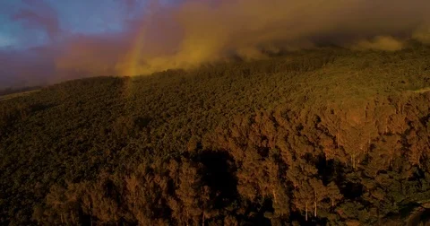 Aerial View Flying Over Forest With Rainbow Stock Footage