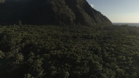Aerial View Flying Over Forest to Reveal Big Mountain in Kauai, Hawaii Stock Footage 125791187