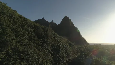 Aerial View Flying Over Forest Towards Big Mountain at Sunset in Kauai, Hawaii Stock Footage 125798692