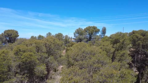 Aerial view flying over forest revealing solar panels farm Stock Footage 337037669
