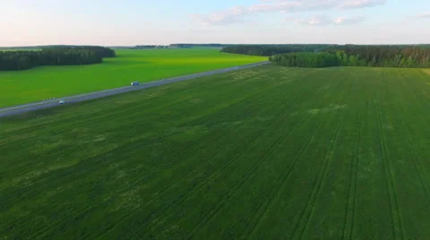 Aerial View. Flying over the green sown field along the road with cars. Stock Footage 63781948