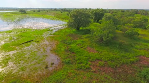 Aerial View. Flying over the green trees above the river at dawn with Stock Footage 63821786